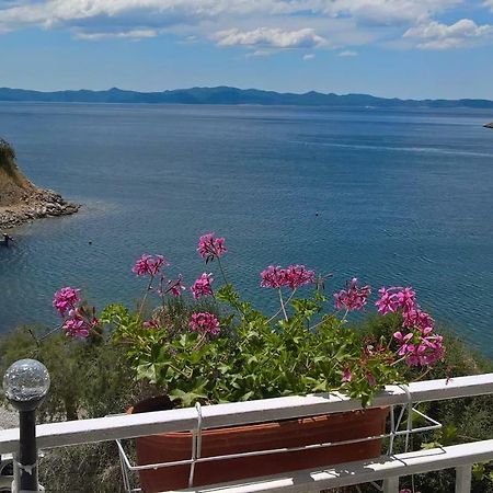 Apartmani Kunjasic Trstenik  Luaran gambar
